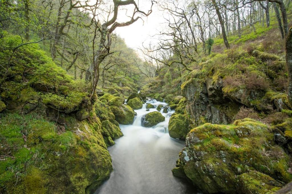 Luxurious Riverside Cottage In Snowdonia National Park Tanygrisiau Buitenkant foto